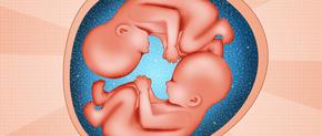 A Conversation Between Twins from Inside the Womb