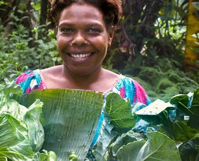Providing Food Security in the Face of a Global Health Crisis