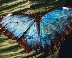 The World’s in Transition. Here’s Why I Still Have Hope