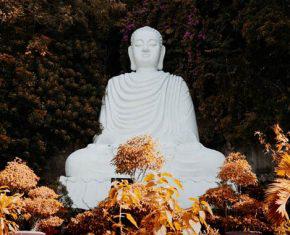 La trascendencia de este mundo: el budismo y la fe bahá'í