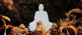 La trascendencia de este mundo: el budismo y la fe bahá'í