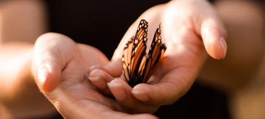 El concepto bahá’í de revelación progresiva