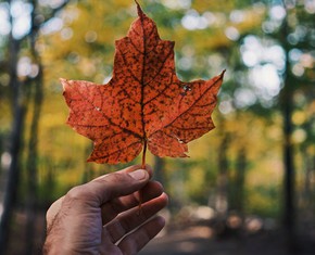 Canadian Podcast Series Explores Essential Principles in Wake of Pandemic