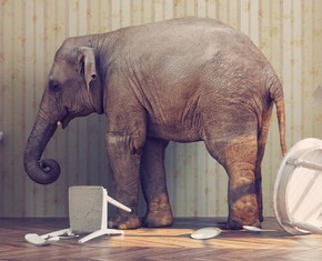 Is Death the “Elephant in the Room?”