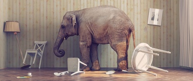 Is Death the “Elephant in the Room?”