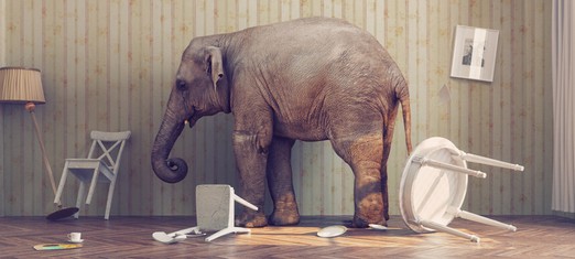 Is Death the “Elephant in the Room?”