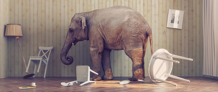 Is Death the “Elephant in the Room?”