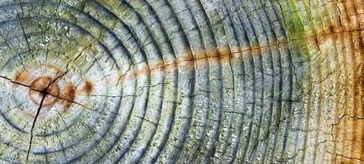 La pandemia pone de relieve la necesidad de abordar las dimensiones morales del cambio climático, advierten los académicos