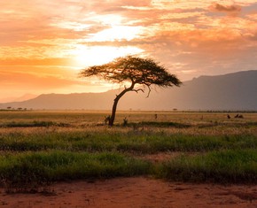 Africa, Miracles and Marriage