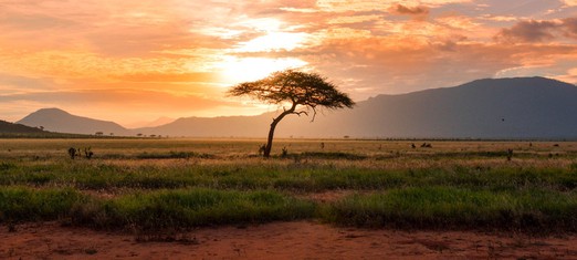 Africa, Miracles and Marriage