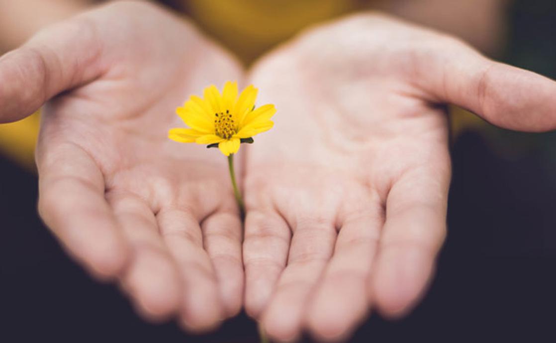 How Generosity Illuminates the Human Soul