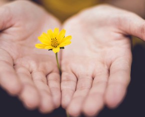 How Generosity Illuminates the Human Soul