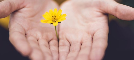 Cómo la generosidad ilumina el alma humana