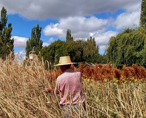 ¿Son importantes las iniciativas rurales sostenibles?