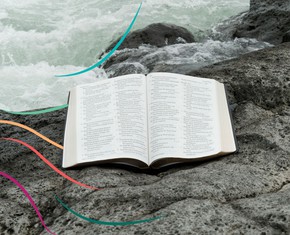 The Hidden Prophecy in the Psalms