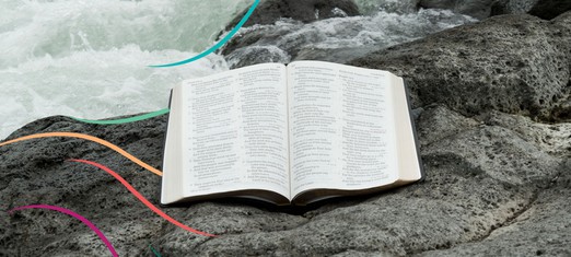 The Hidden Prophecy in the Psalms
