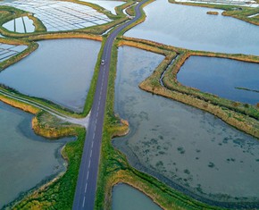 Our Water Crisis and What to Do About It