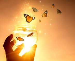 Do You Believe that You Have a Soul?