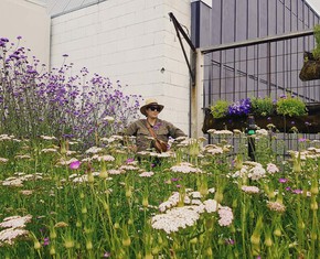 Growing Community Spirit in My Garden