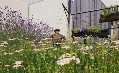 Growing Community Spirit in My Garden