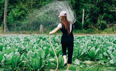 Mi jardín: cultivando un espíritu comunitario