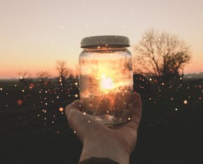 The Sparkle of Sagacity: Separating the Truth from Error