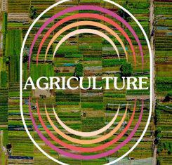 Agriculture’s Importance in Rebuilding Our World — with Roy Steiner