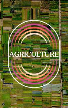 Agriculture’s Importance in Rebuilding Our World — with Roy Steiner