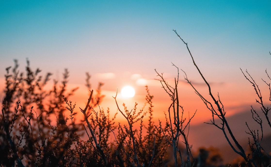 One Dramatic Symbol in Abdu’l-Baha’s Play