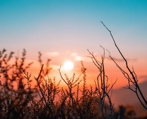 Un símbolo dramático en la obra de Abdu’l-Bahá