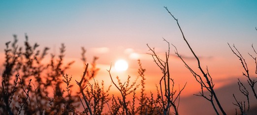 Un símbolo dramático en la obra de Abdu’l-Bahá
