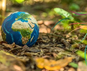 What Reentering the Paris Climate Agreement Means