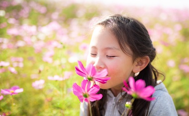 El significado espiritual de la primavera