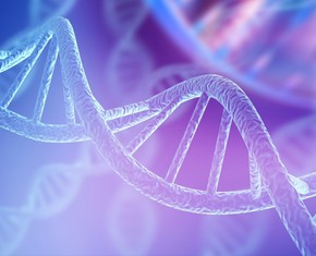 ¿Pueden la ciencia y la moral encontrar una base común?
