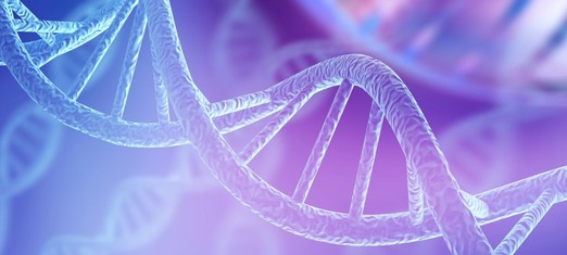¿Pueden la ciencia y la moral encontrar una base común?