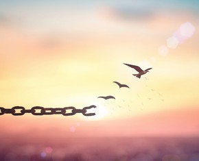 What Happens When a Prophet Passes Away?