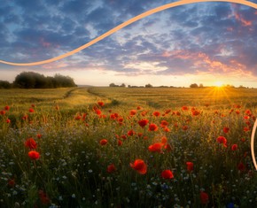 The Twelfth Day of Ridvan: Baha’u’llah’s Exile Continues