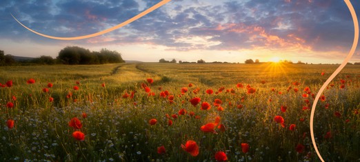 The Twelfth Day of Ridvan: Baha’u’llah’s Exile Continues