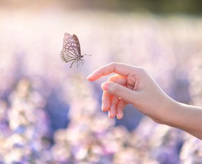 Karma, the Golden Rule and Newton’s Third Law