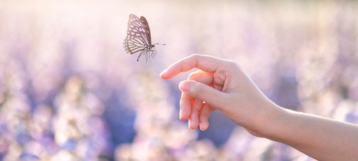 Karma, the Golden Rule and Newton’s Third Law