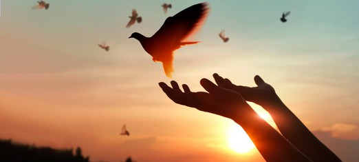 La paz, nuestra posesión más preciada