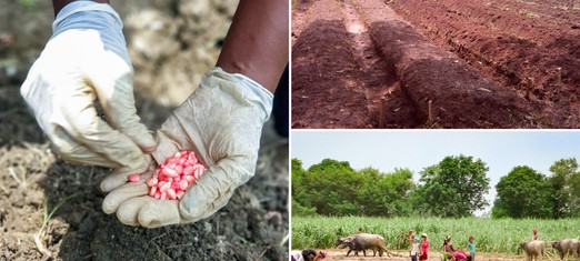 Shift in Agricultural Systems Necessary for Sustainability, Says BIC