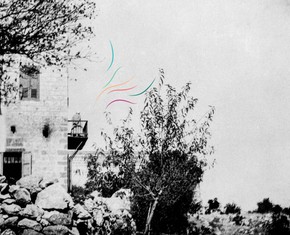 The Centenary of Abdu’l-Baha’s Ascension: A Fragrant Trail