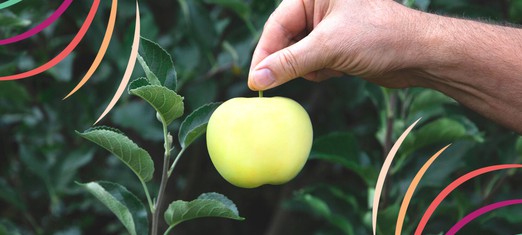 “Ye Shall Know Them By Their Fruits:” 4 Ways to Assess a Prophet