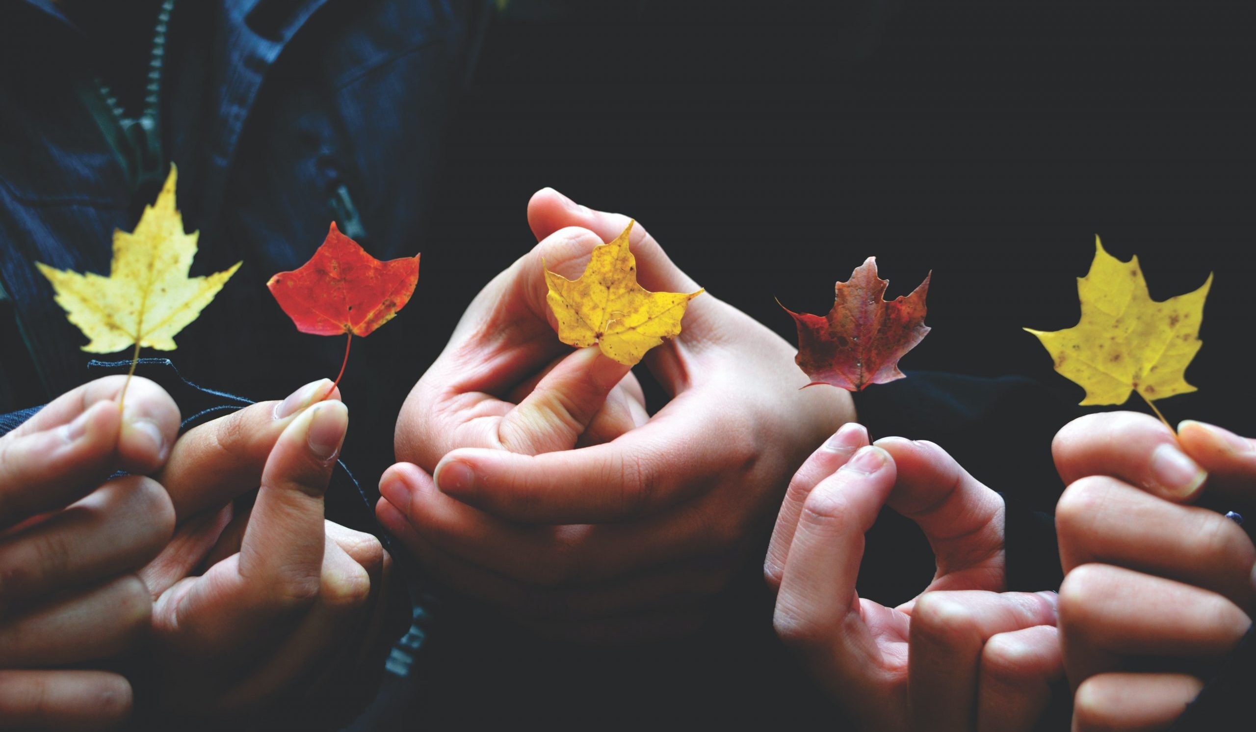 Achieving Justice Through the Radical Notion of Oneness