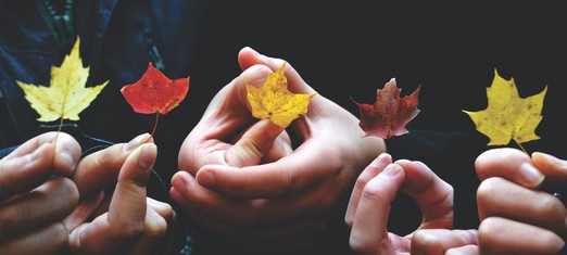Achieving Justice Through the Radical Notion of Oneness