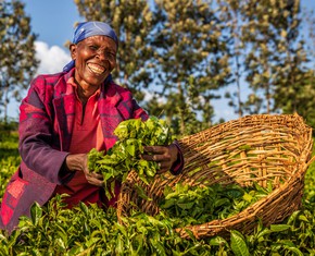 Farmer-led Earthquake Recovery Effort in Haiti Needs Your Help