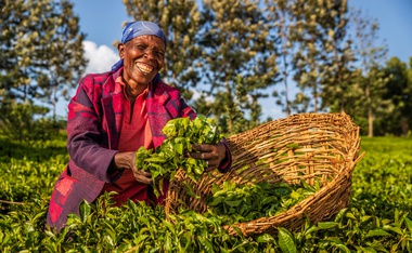 Farmer-led Earthquake Recovery Effort in Haiti Needs Your Help