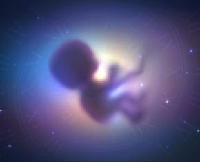 Seven Steps to a Spiritual Second Birth