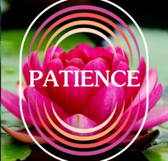 Patiently Striving to Create Beauty From Pain — With Radiance Talley